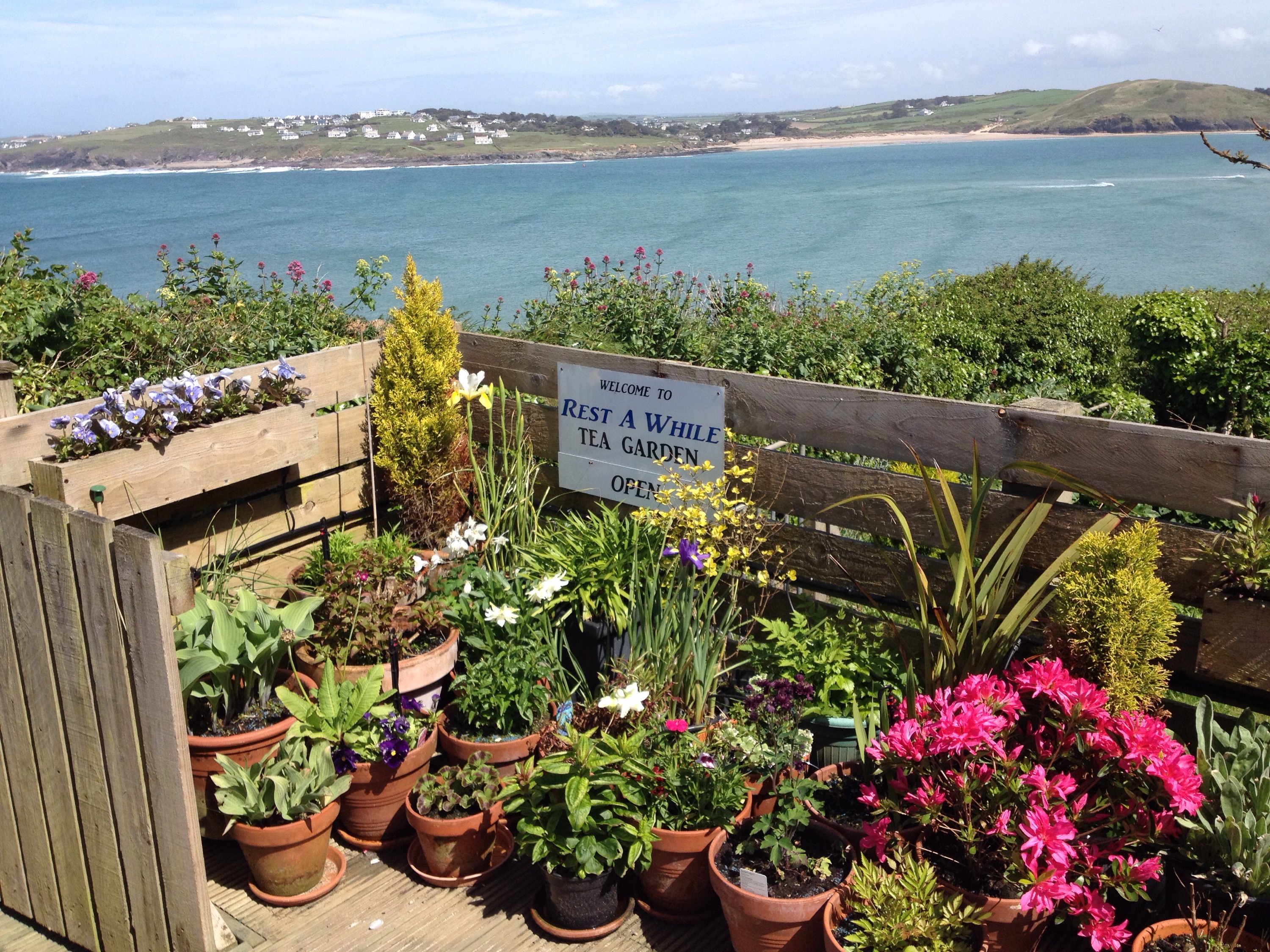 Rest A While Tea Garden